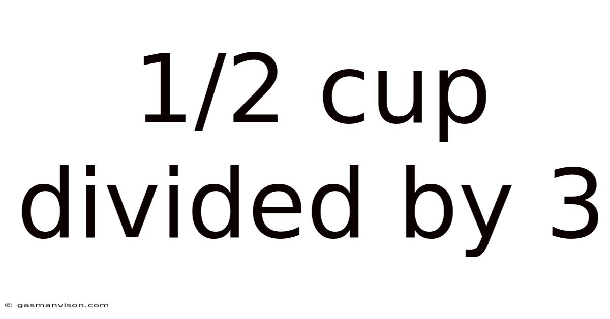 1/2 Cup Divided By 3