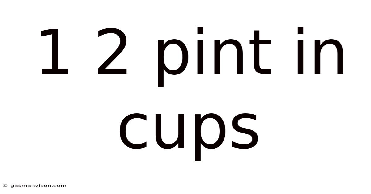 1 2 Pint In Cups