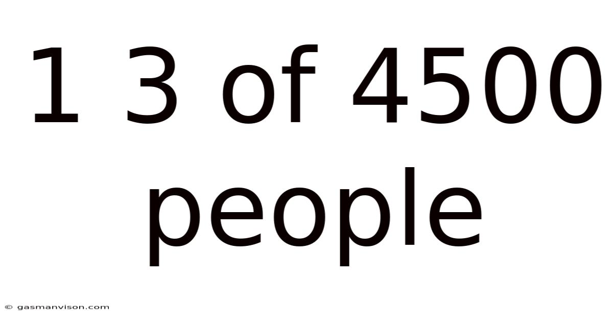 1 3 Of 4500 People