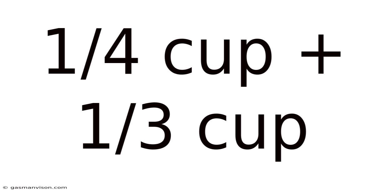 1/4 Cup + 1/3 Cup