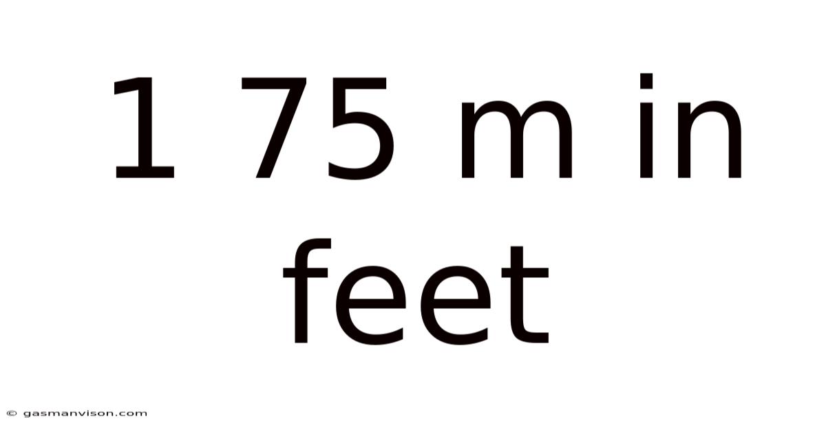 1 75 M In Feet