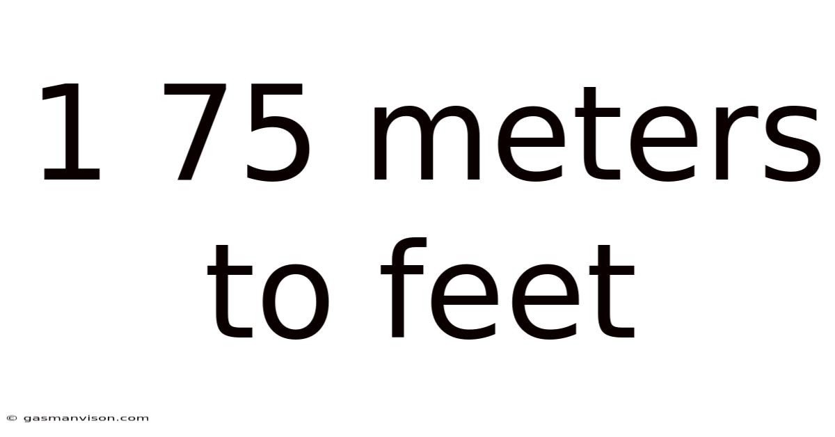 1 75 Meters To Feet
