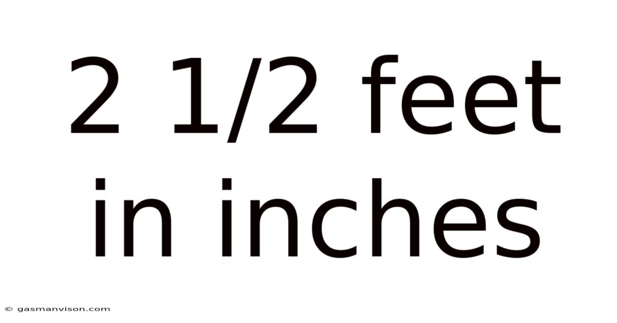 2 1/2 Feet In Inches