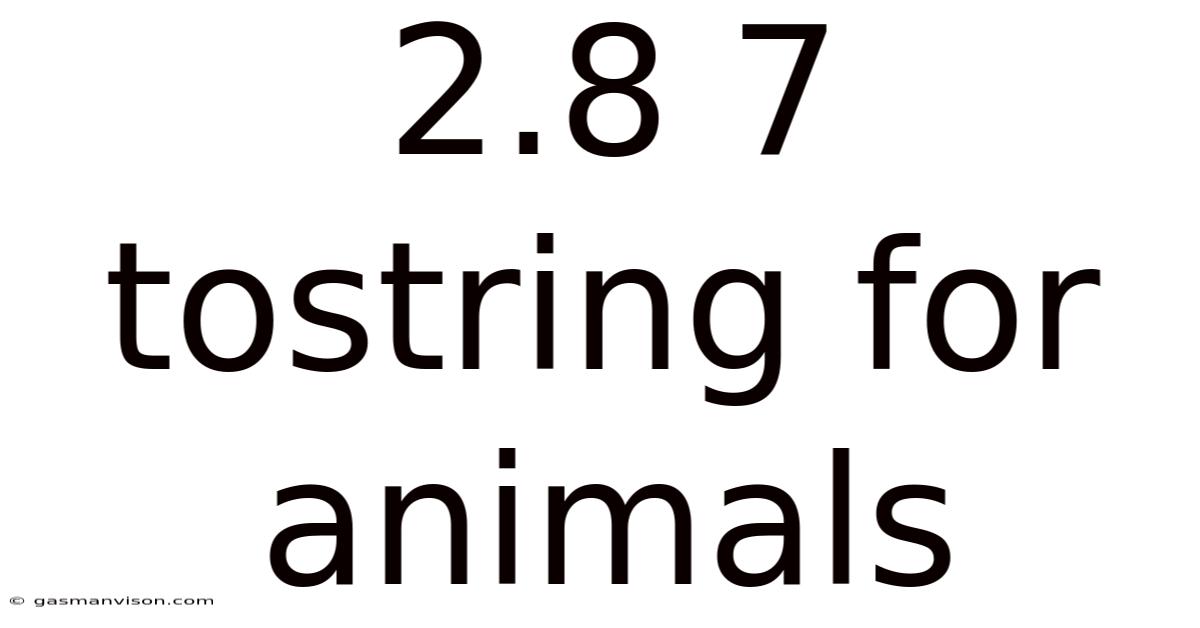2.8 7 Tostring For Animals