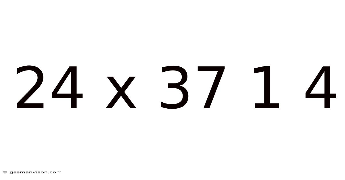 24 X 37 1 4