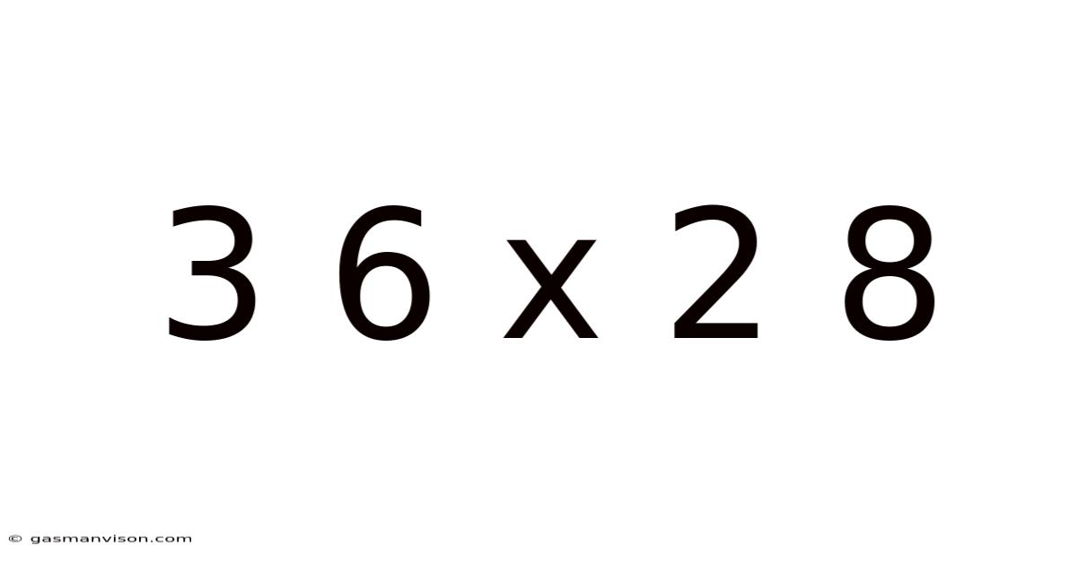 3 6 X 2 8