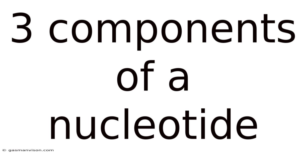 3 Components Of A Nucleotide
