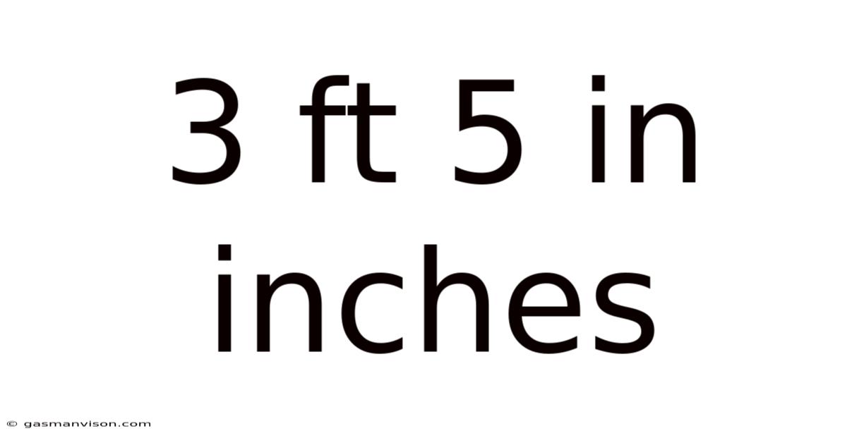 3 Ft 5 In Inches