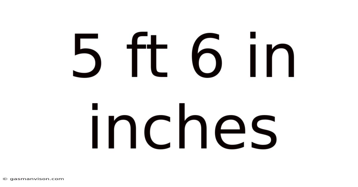 5 Ft 6 In Inches