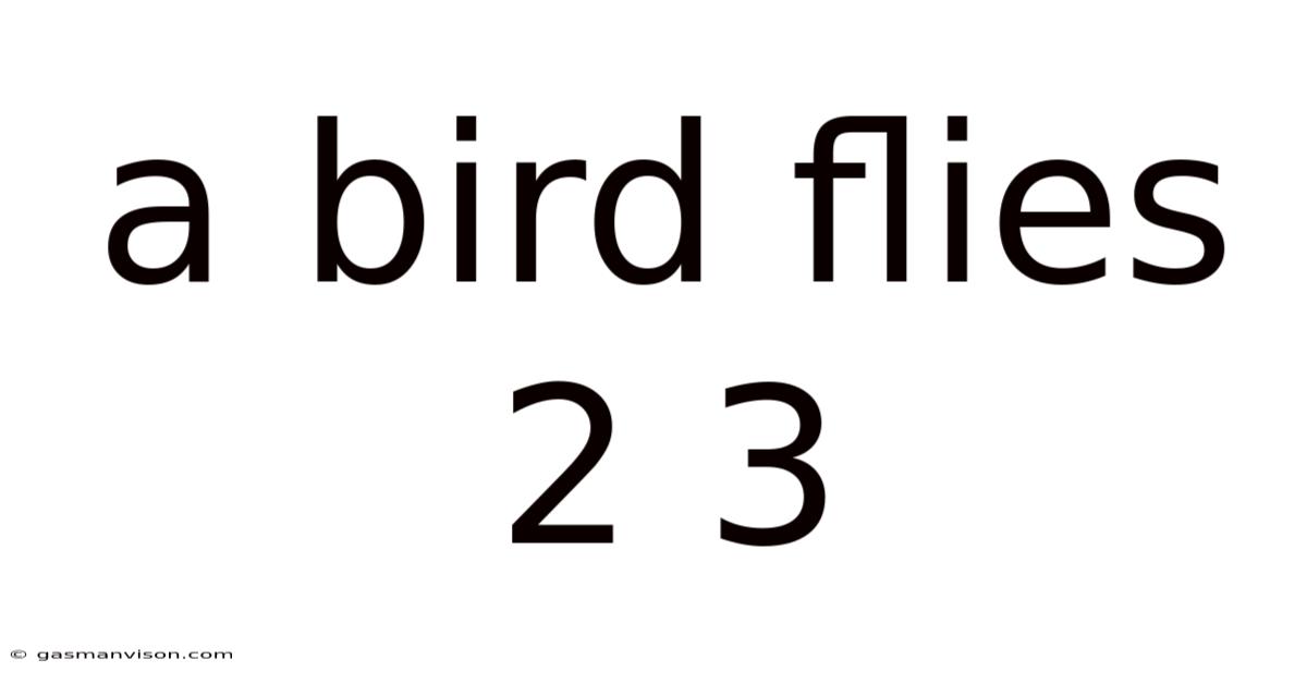 A Bird Flies 2 3