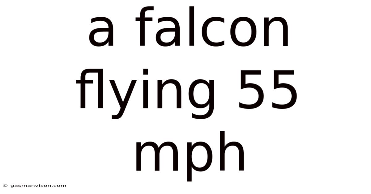 A Falcon Flying 55 Mph