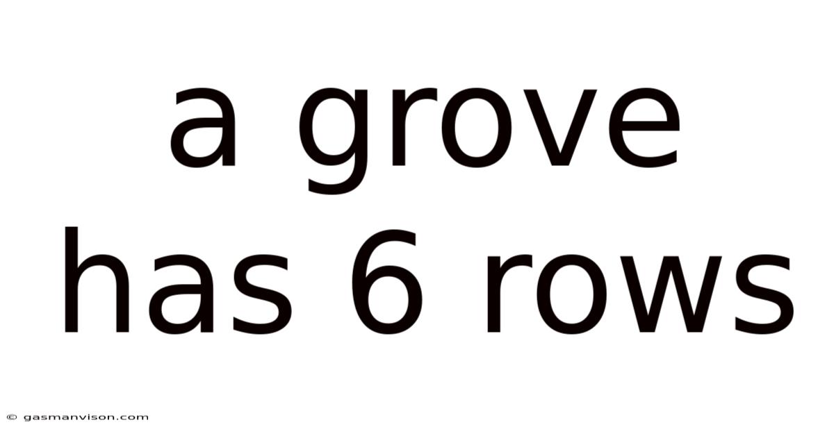 A Grove Has 6 Rows