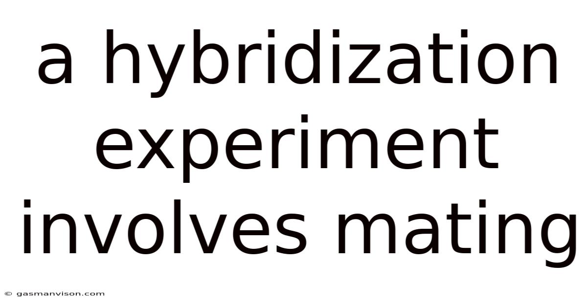 A Hybridization Experiment Involves Mating