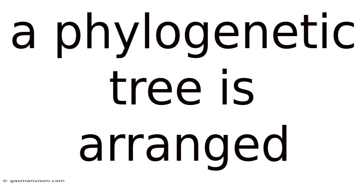 A Phylogenetic Tree Is Arranged