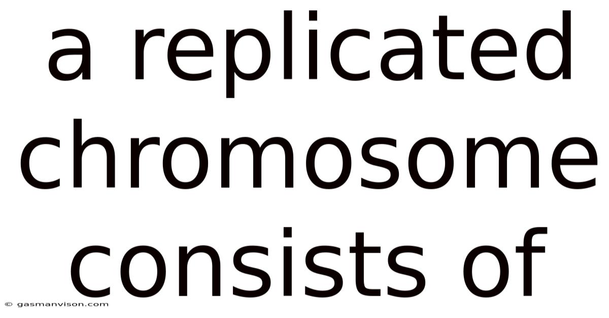 A Replicated Chromosome Consists Of