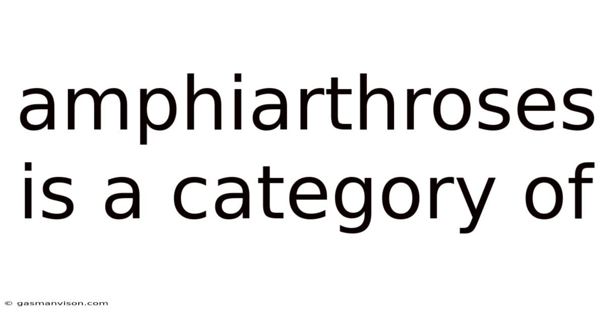 Amphiarthroses Is A Category Of