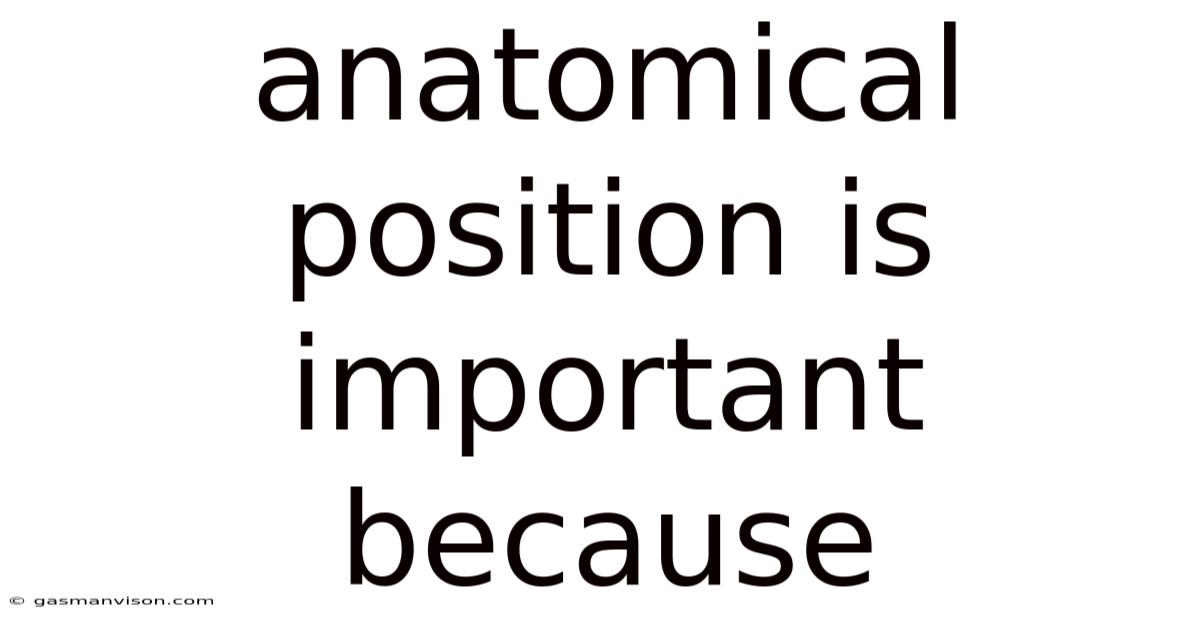 Anatomical Position Is Important Because
