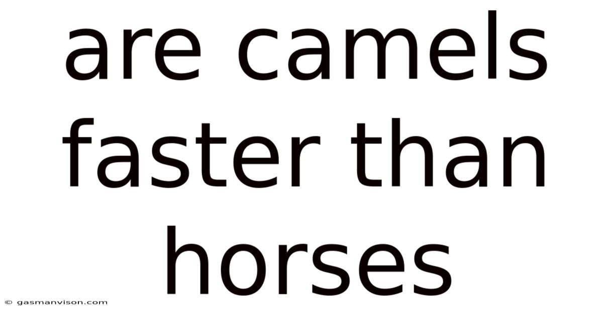 Are Camels Faster Than Horses