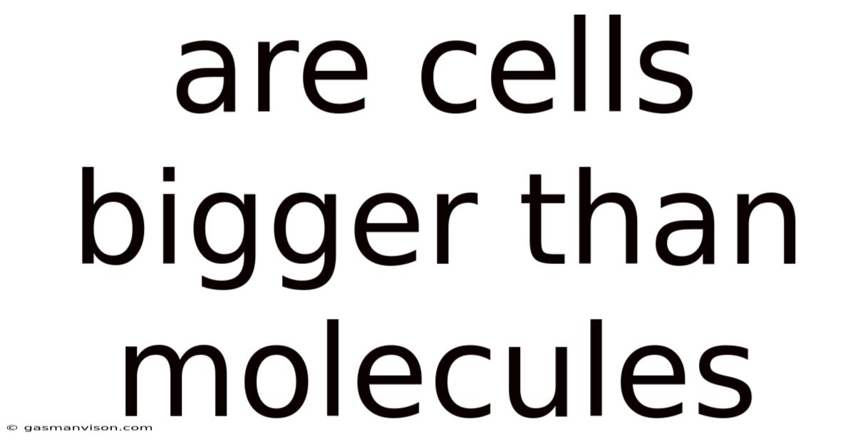 Are Cells Bigger Than Molecules