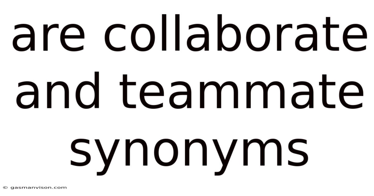 Are Collaborate And Teammate Synonyms