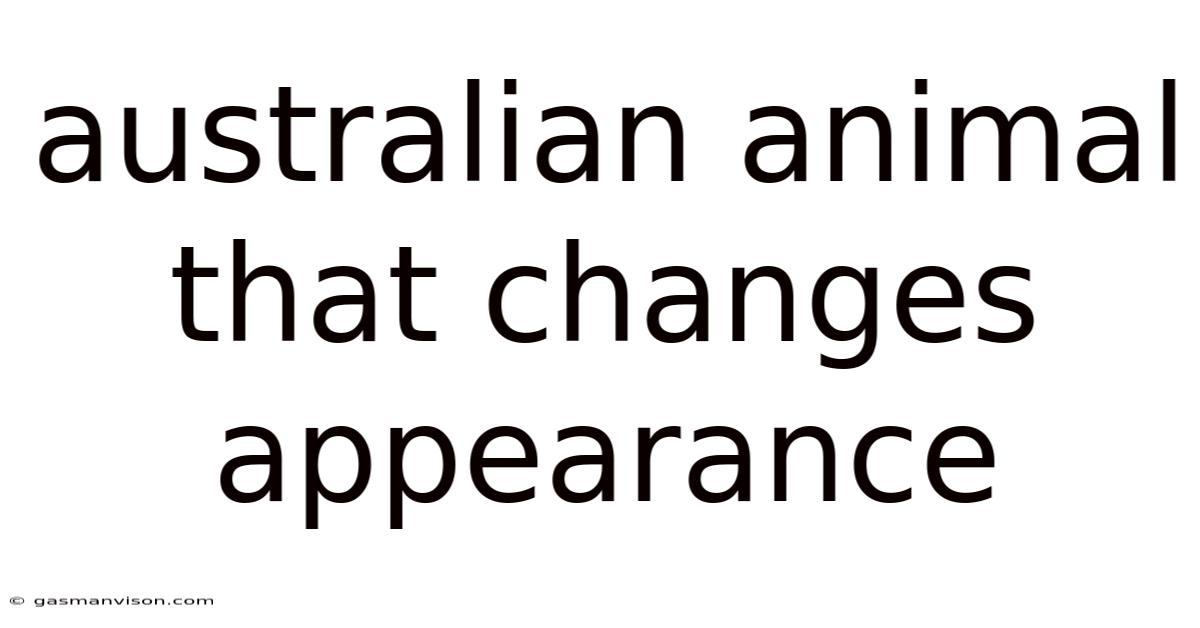 Australian Animal That Changes Appearance