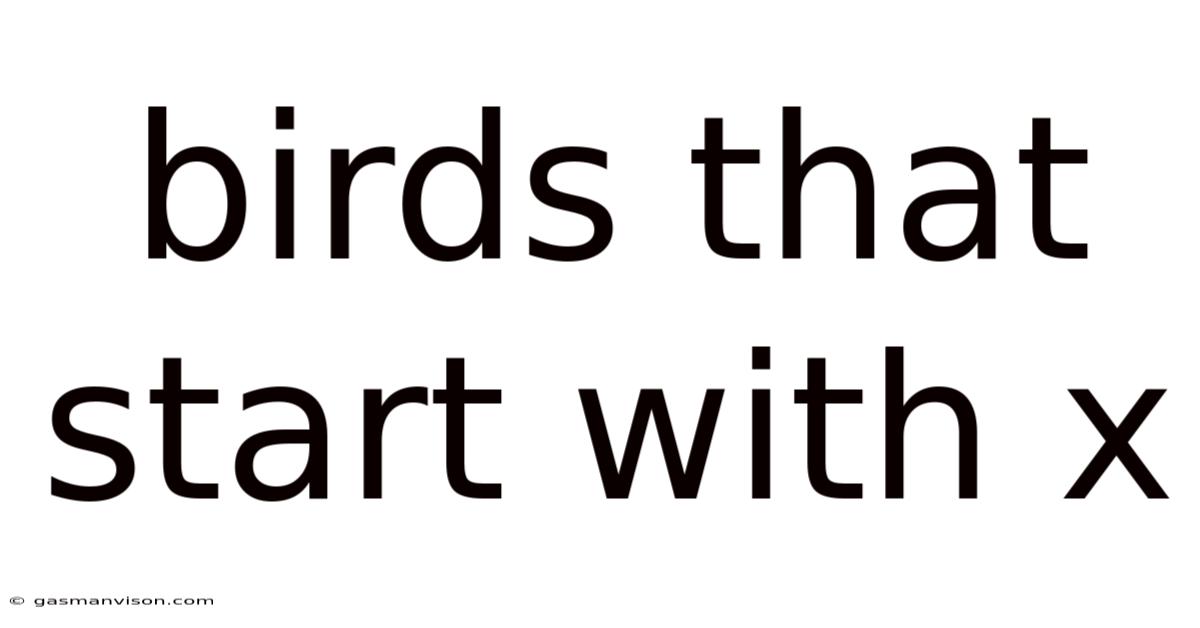 Birds That Start With X