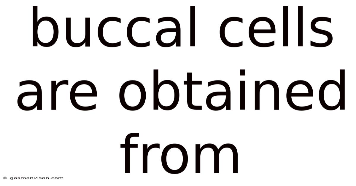 Buccal Cells Are Obtained From