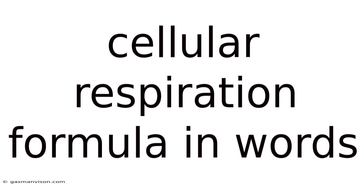 Cellular Respiration Formula In Words