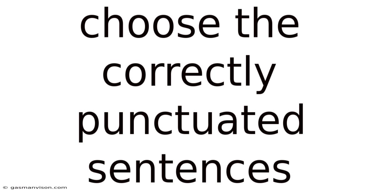 Choose The Correctly Punctuated Sentences