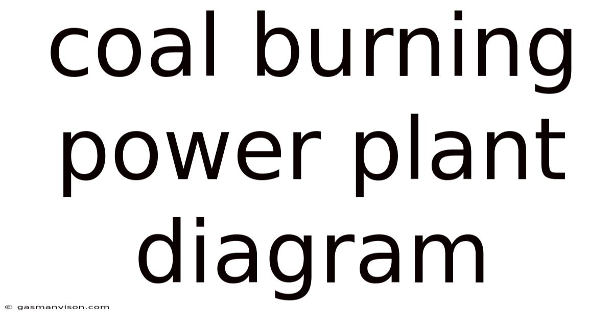 Coal Burning Power Plant Diagram