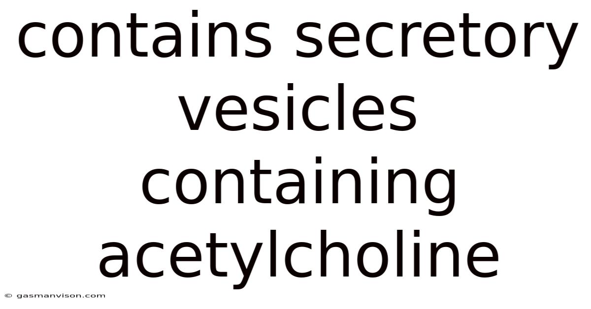 Contains Secretory Vesicles Containing Acetylcholine