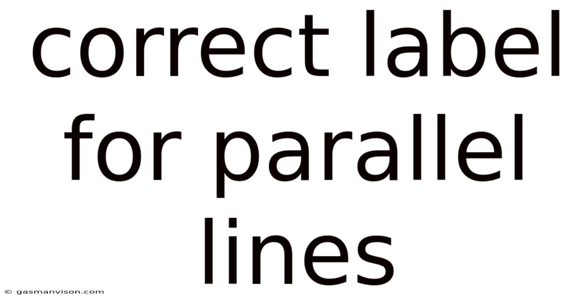 Correct Label For Parallel Lines