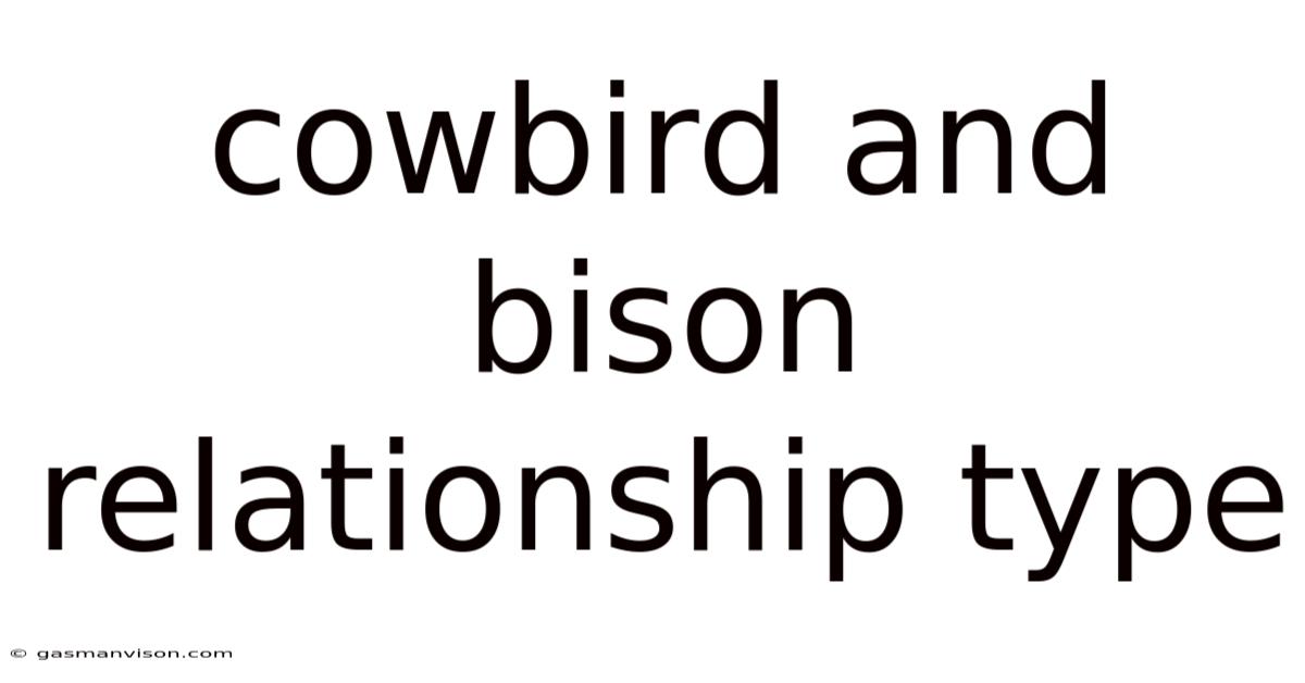 Cowbird And Bison Relationship Type