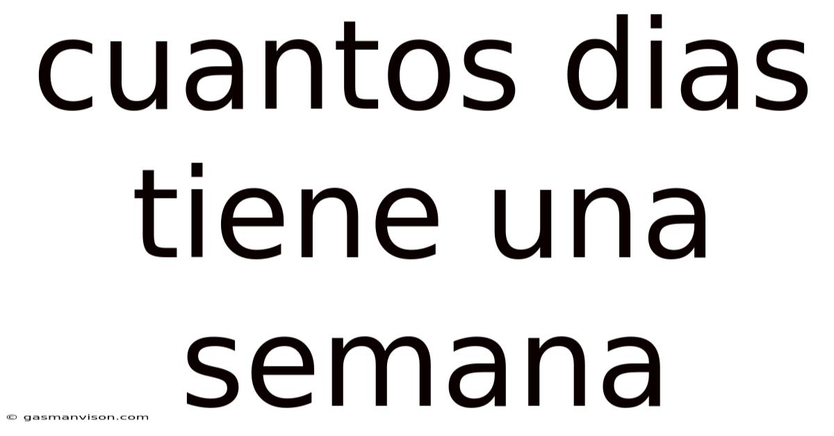 Cuantos Dias Tiene Una Semana