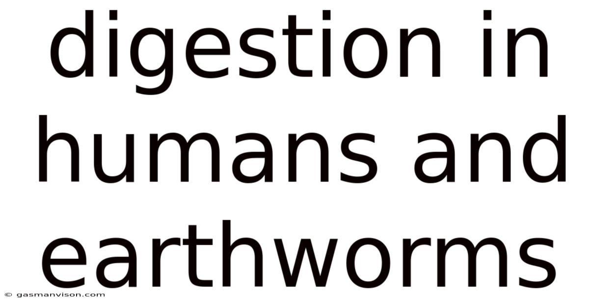 Digestion In Humans And Earthworms