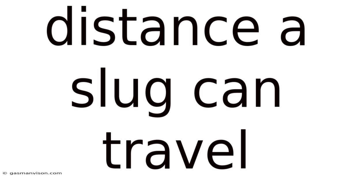 Distance A Slug Can Travel