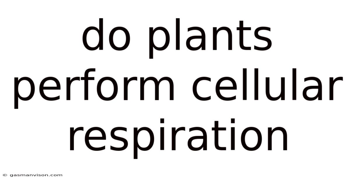 Do Plants Perform Cellular Respiration