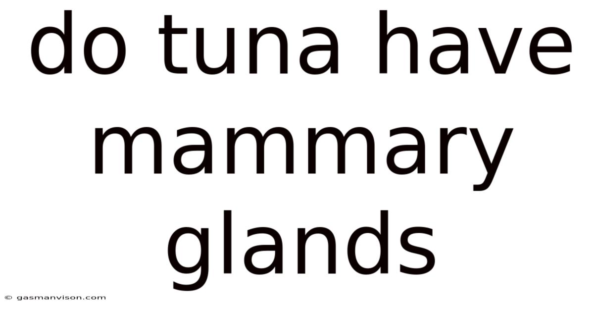 Do Tuna Have Mammary Glands
