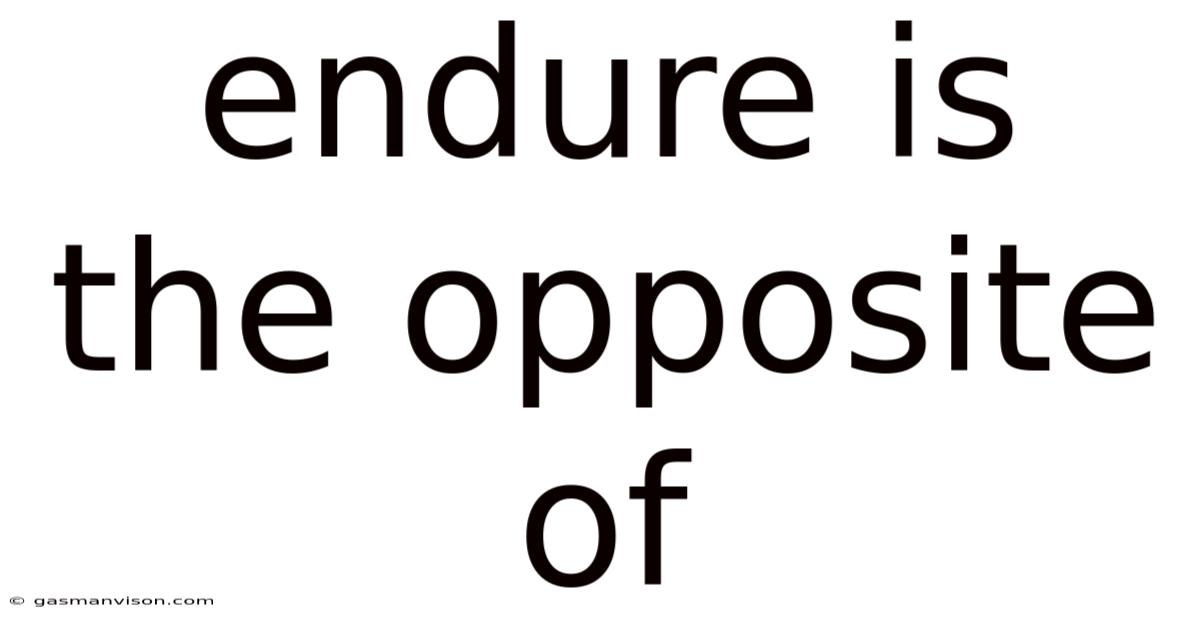 Endure Is The Opposite Of