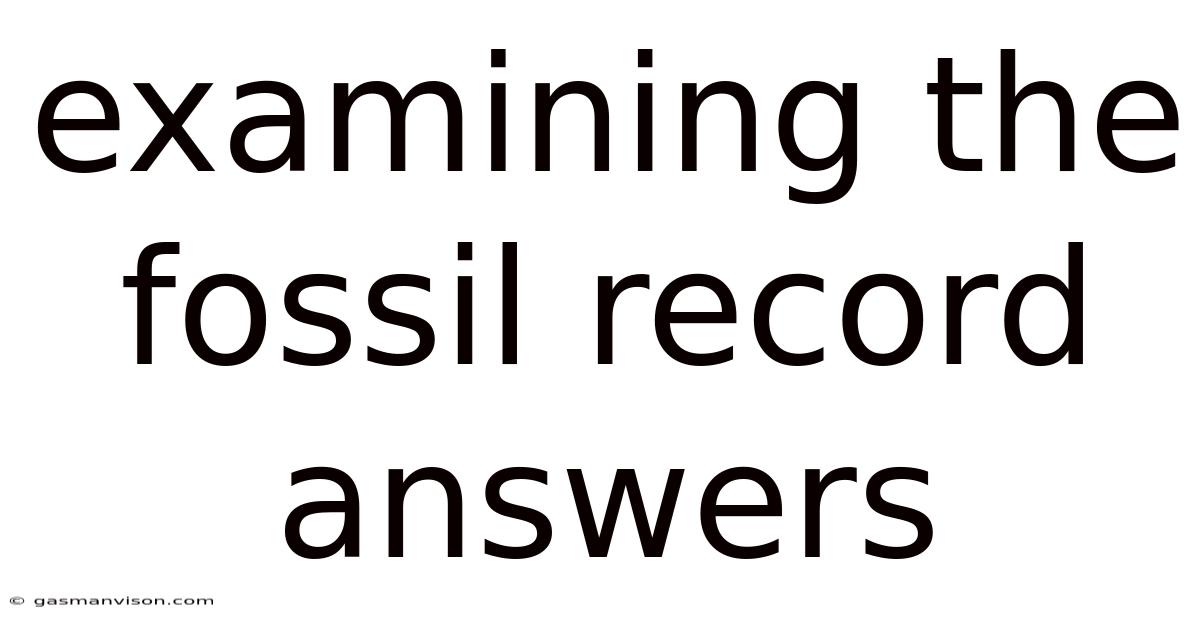 Examining The Fossil Record Answers