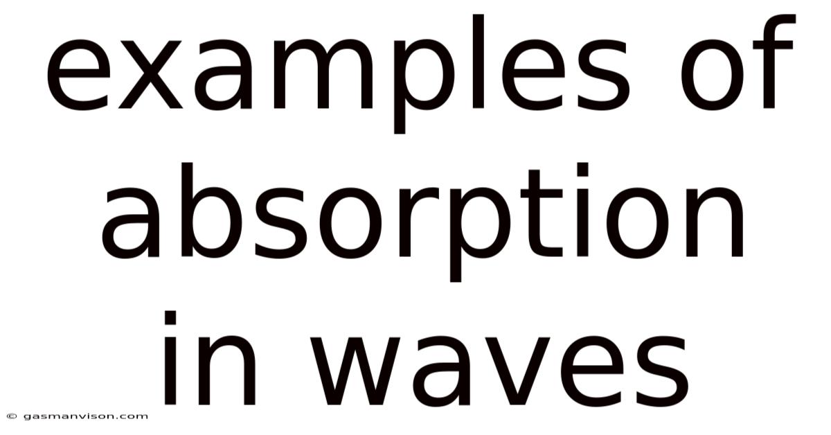 Examples Of Absorption In Waves