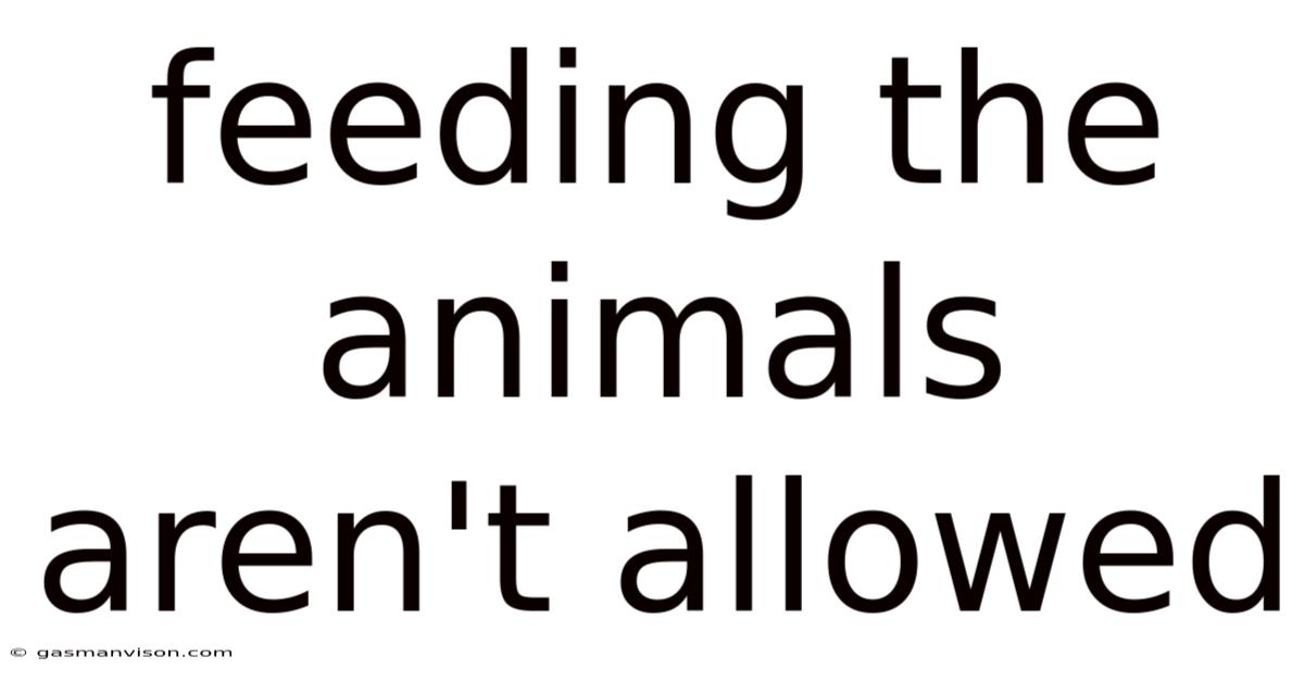 Feeding The Animals Aren't Allowed