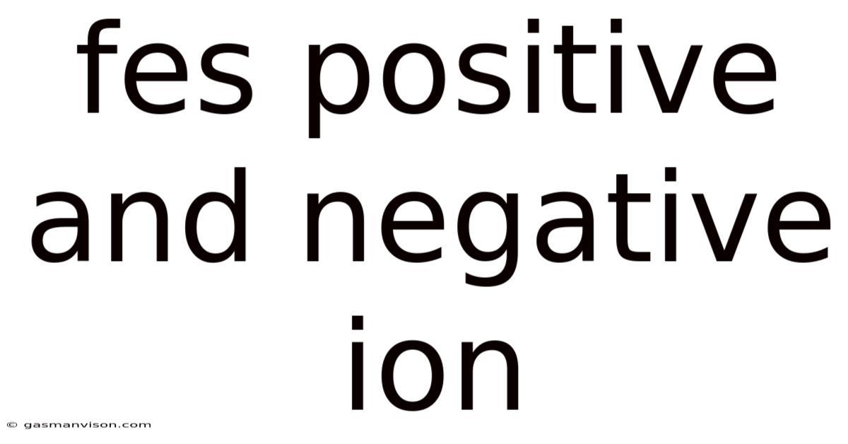 Fes Positive And Negative Ion