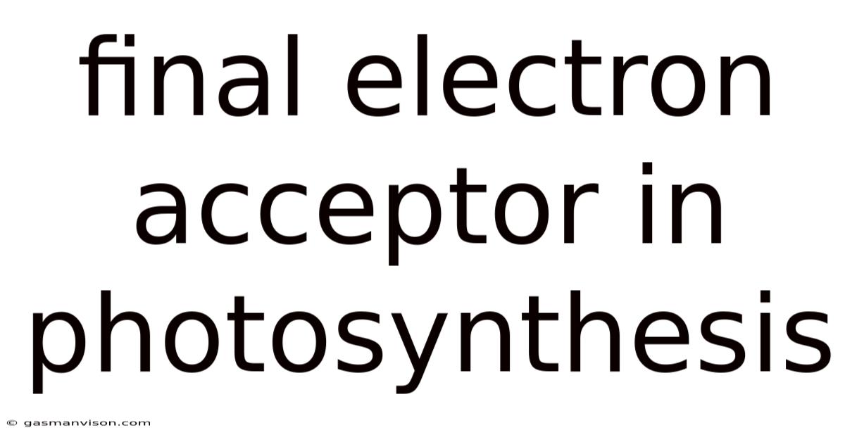 Final Electron Acceptor In Photosynthesis