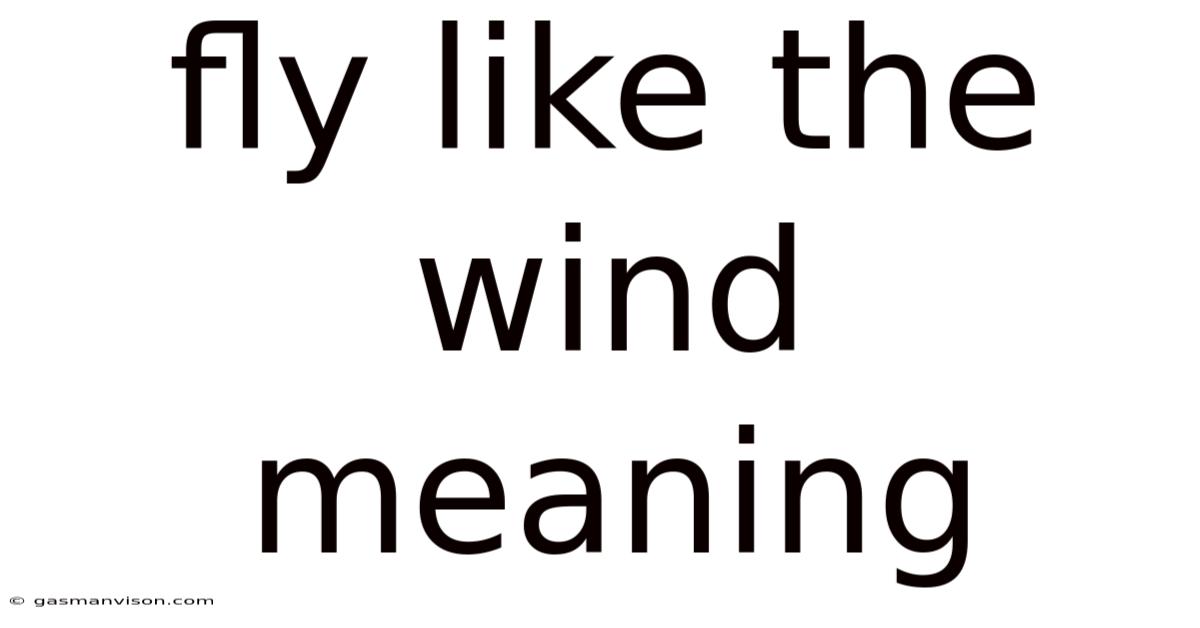Fly Like The Wind Meaning