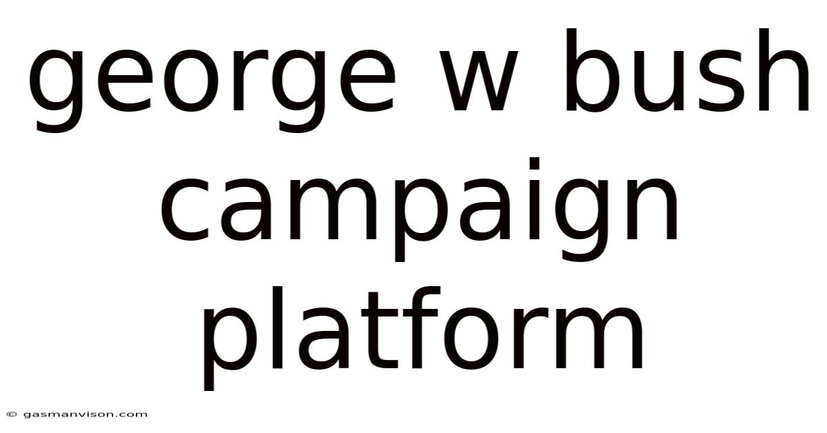 George W Bush Campaign Platform