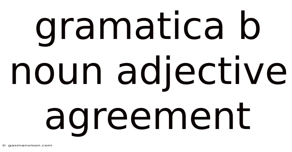 Gramatica B Noun Adjective Agreement