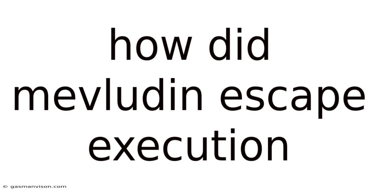 How Did Mevludin Escape Execution
