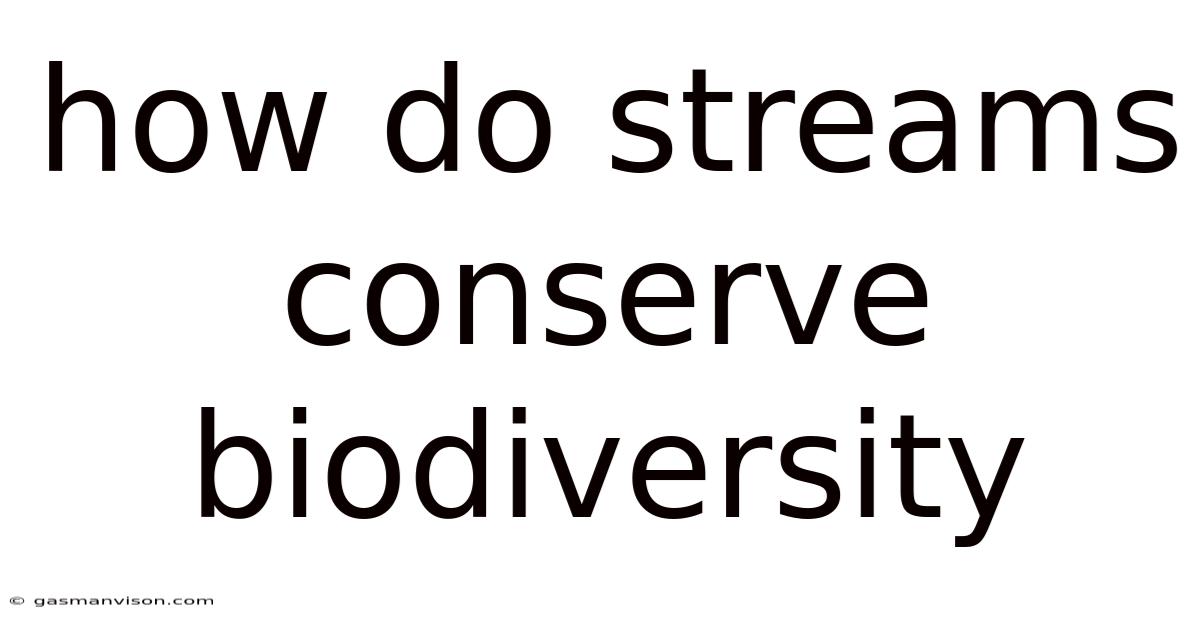 How Do Streams Conserve Biodiversity