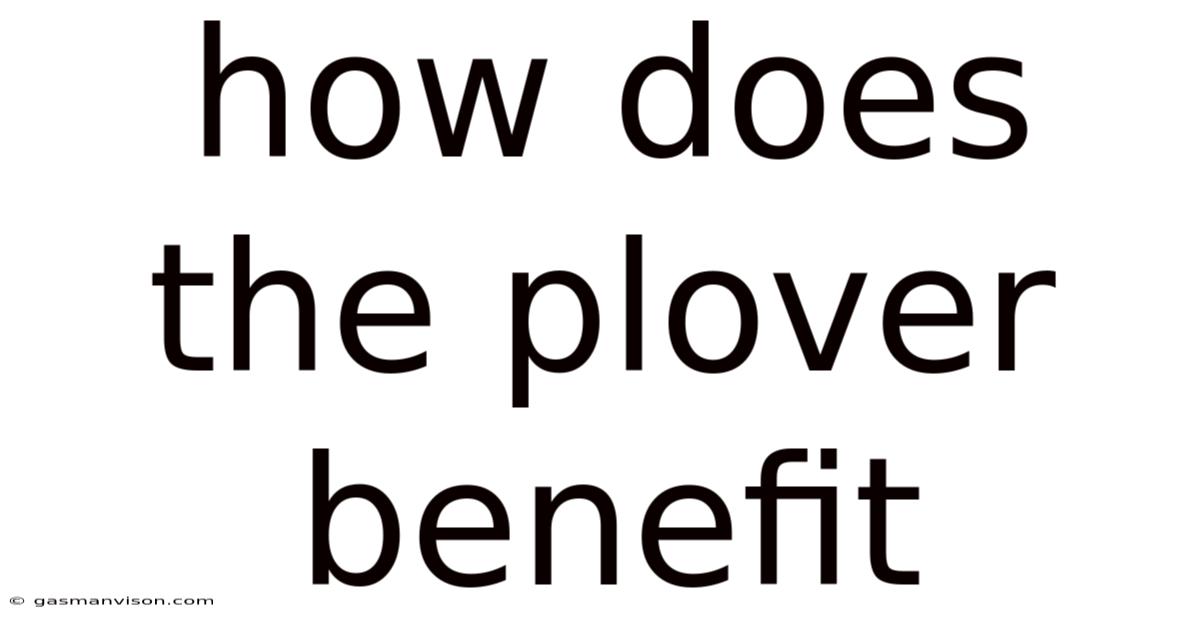 How Does The Plover Benefit
